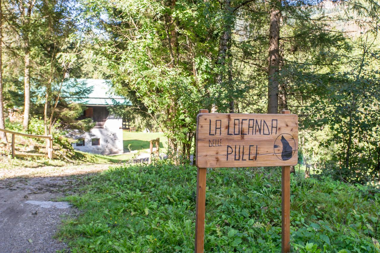 B/B La Locanda Delle Pulci Mezzana  Εξωτερικό φωτογραφία